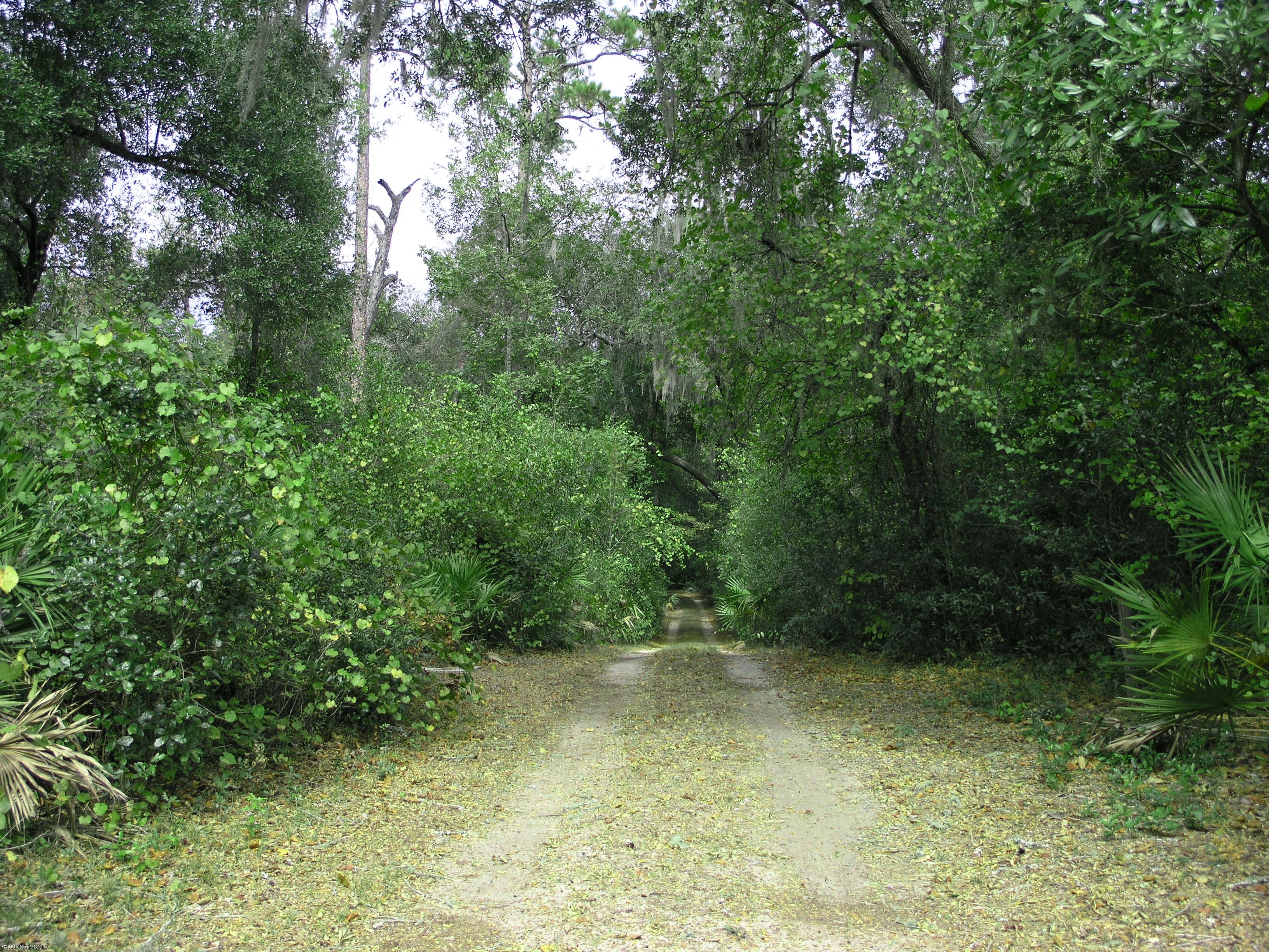 4624 South Bellamy Road Keystone Heights, FL 32656 - Photo 9 of 12 Privated Wooded Entrance Drive