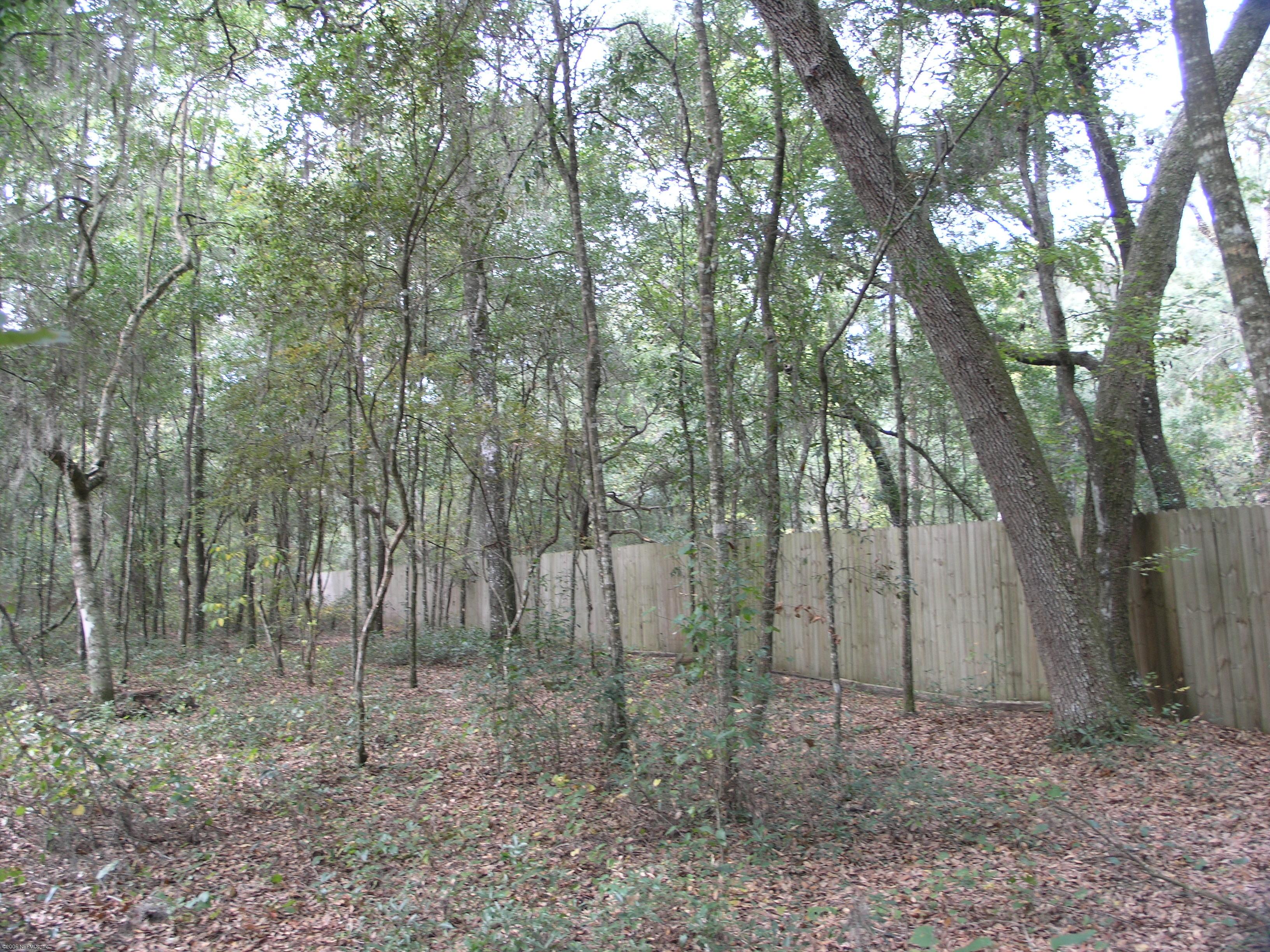 4624 South Bellamy Road Keystone Heights, FL 32656 - Photo 10 of 12 Wood Privacy Fence Two Sides