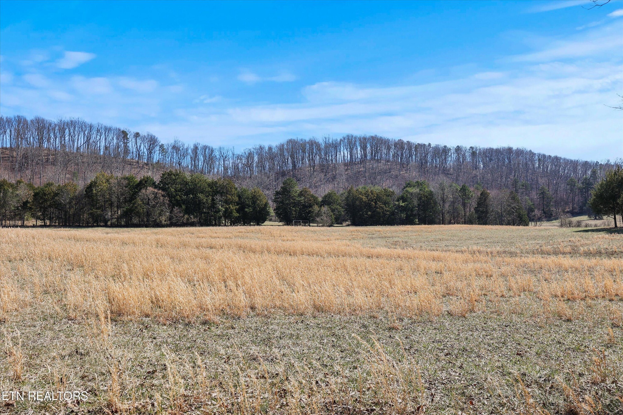 0 Paint Rock Valley Road Philadelphia, TN 37846 - Photo 29 of 40