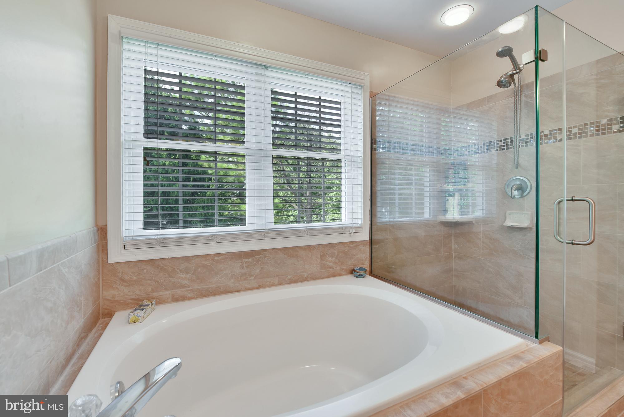 19954 Spurrier Avenue Poolesville, MD 20837 - Photo 37 of 54 Full soaking tub and large frameless shower