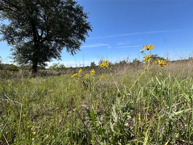 a view of a building