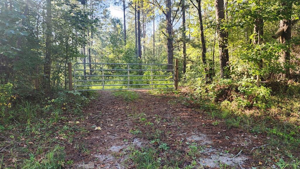 Lot Size Lot Size Road Hamilton, GA 31811 - Photo 2 of 23 Gallery Image 2