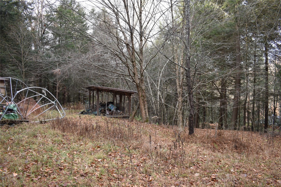 450 State Rte 2036 Thompson, PA 18465 - Photo 6 of 10 Gallery Image 6