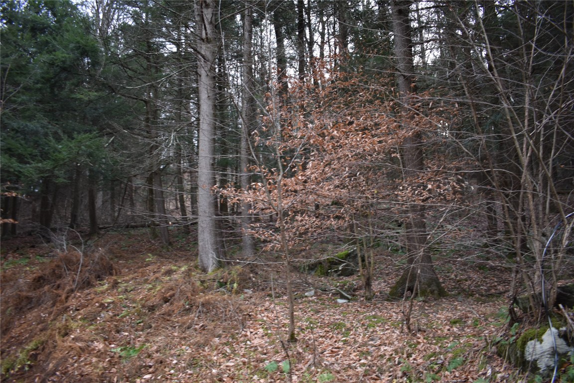 450 State Rte 2036 Thompson, PA 18465 - Photo 8 of 10 Gallery Image 8