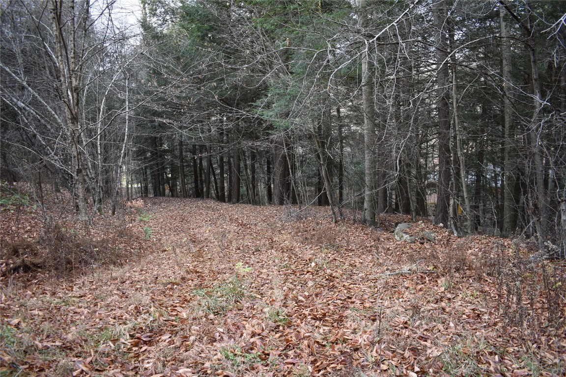 450 State Rte 2036 Thompson, PA 18465 - Photo 10 of 10 Gallery Image 10