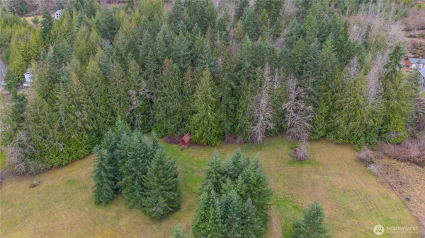a view of a field with trees in the background