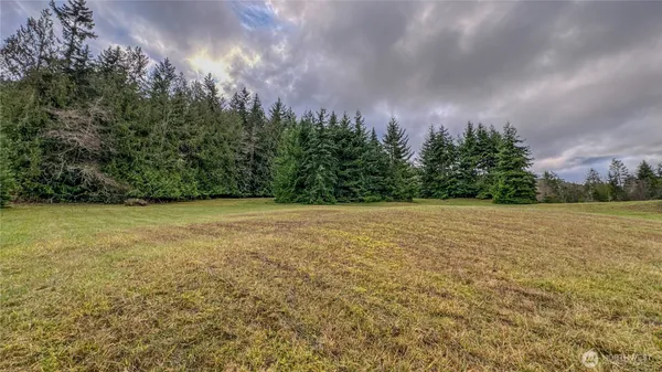 a view of a field with an trees in the background