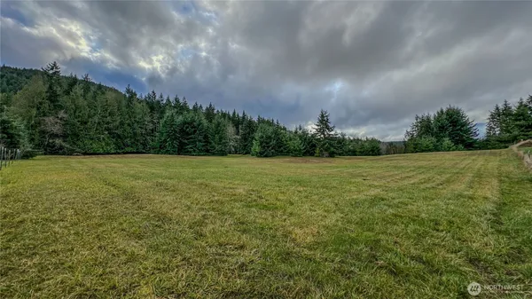 a view of a yard with a trees