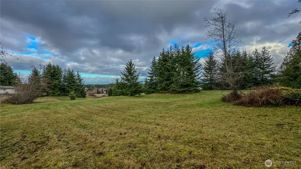 a view of a field with trees in the background