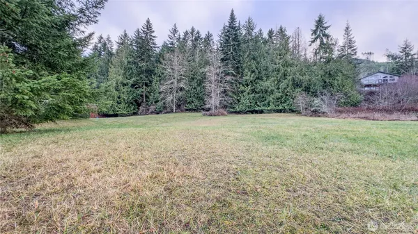a view of a big yard with lots of green space and mountain view