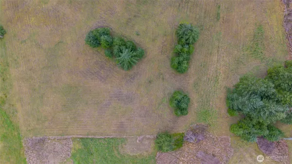 a picture of a yard with plants