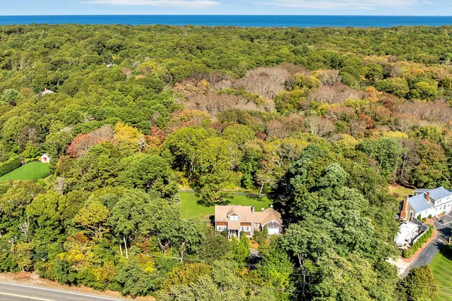 a view of a big yard with lots of bushes