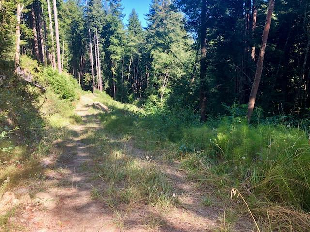9.25-acre Eggert Road Eureka, CA 95503 - Photo 16 of 29