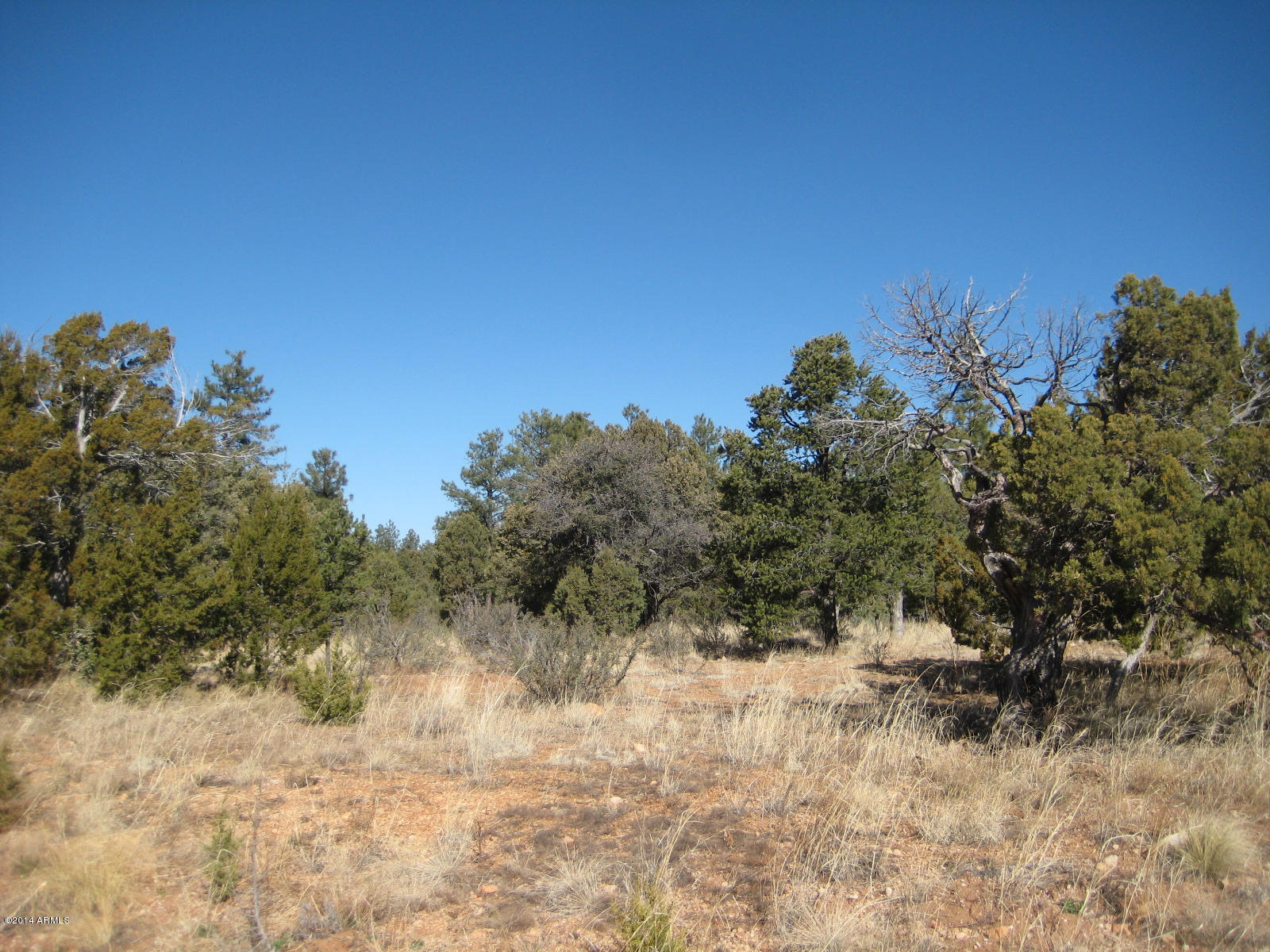 2874 4 Point Circle, Unit 411 Overgaard, AZ 85933 - Photo 11 of 11 IMG_0541