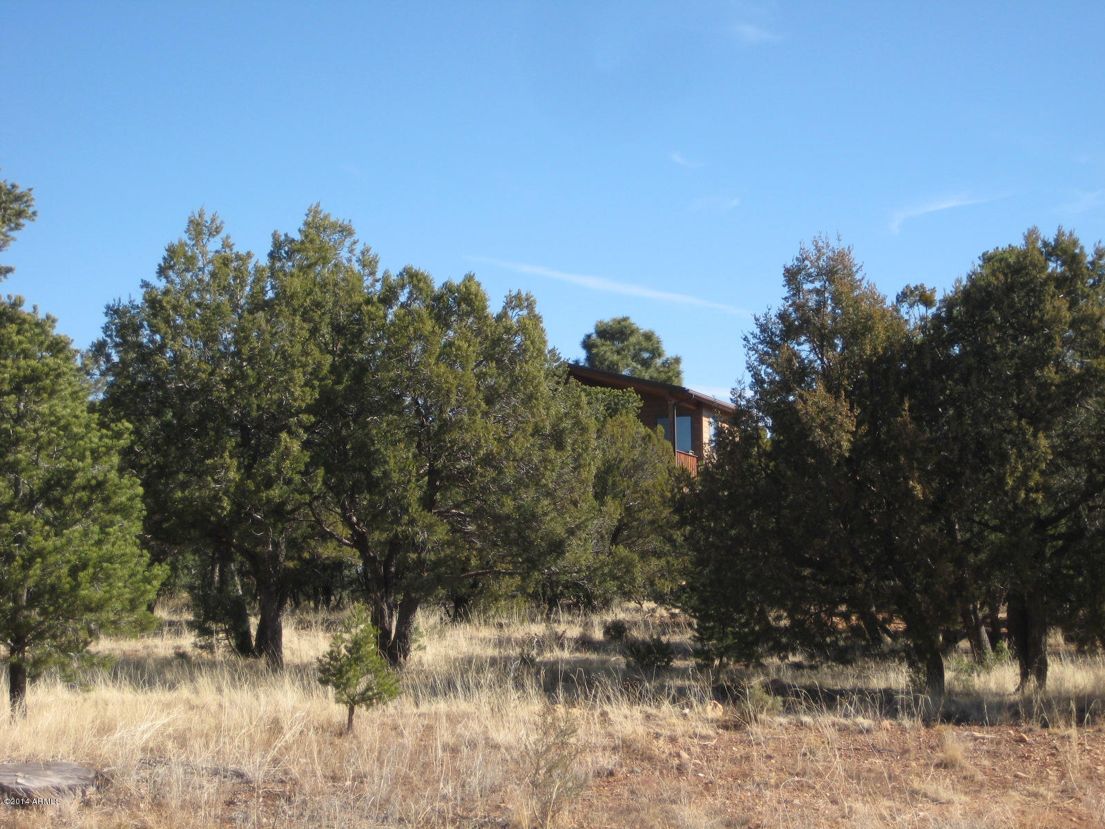 2874 4 Point Circle, Unit 411 Overgaard, AZ 85933 - Photo 5 of 11 IMG_0533