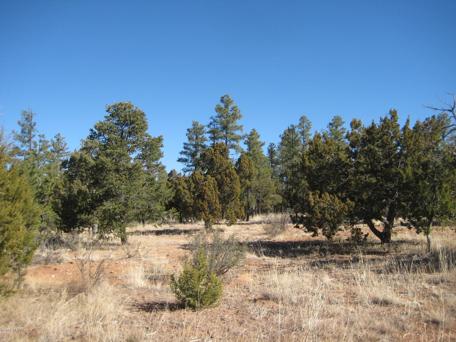 2874 4 Point Circle, Unit 411 Overgaard, AZ 85933 - Photo 7 of 11 IMG_0537
