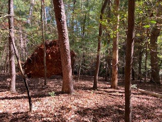 0 East Goldmine Road Ellijay, GA 30536 - Photo 8 of 11 Gallery Image 8