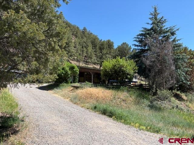 224 Spud Hill Road Montrose, CO 81403 - Photo 5 of 16