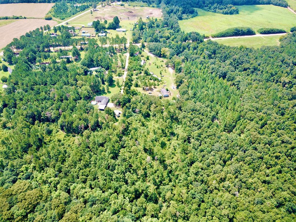 4739 Wallace Buie Road Columbia, AL 36319 - Photo 17 of 54