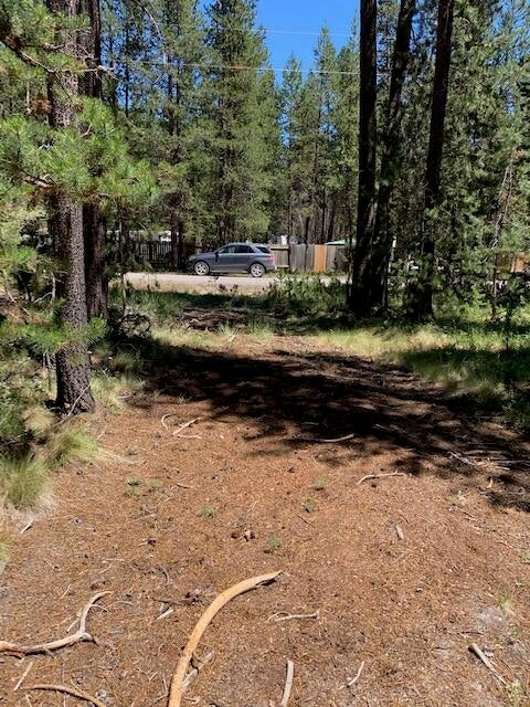17020 Island Loop Way Bend, OR 97707 - Photo 4 of 11 Looking toward the street
