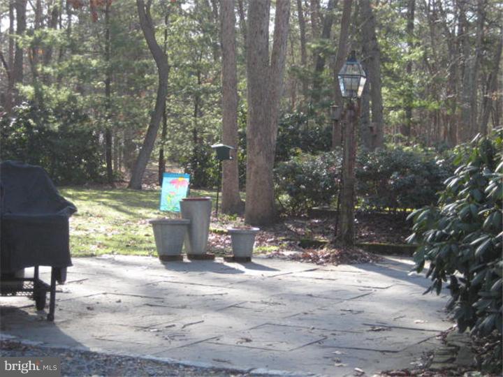 11 Bearhead Road Medford, NJ 08055 - Photo 18 of 23 Exterior Back