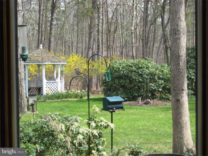 11 Bearhead Road Medford, NJ 08055 - Photo 19 of 23 Exterior Back