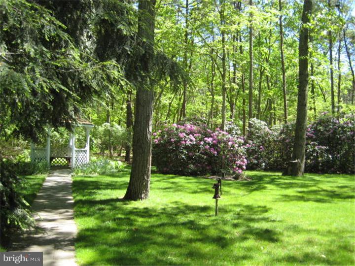 11 Bearhead Road Medford, NJ 08055 - Photo 20 of 23 Exterior Back