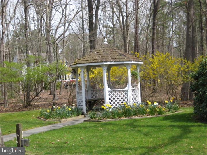11 Bearhead Road Medford, NJ 08055 - Photo 21 of 23 Exterior Back