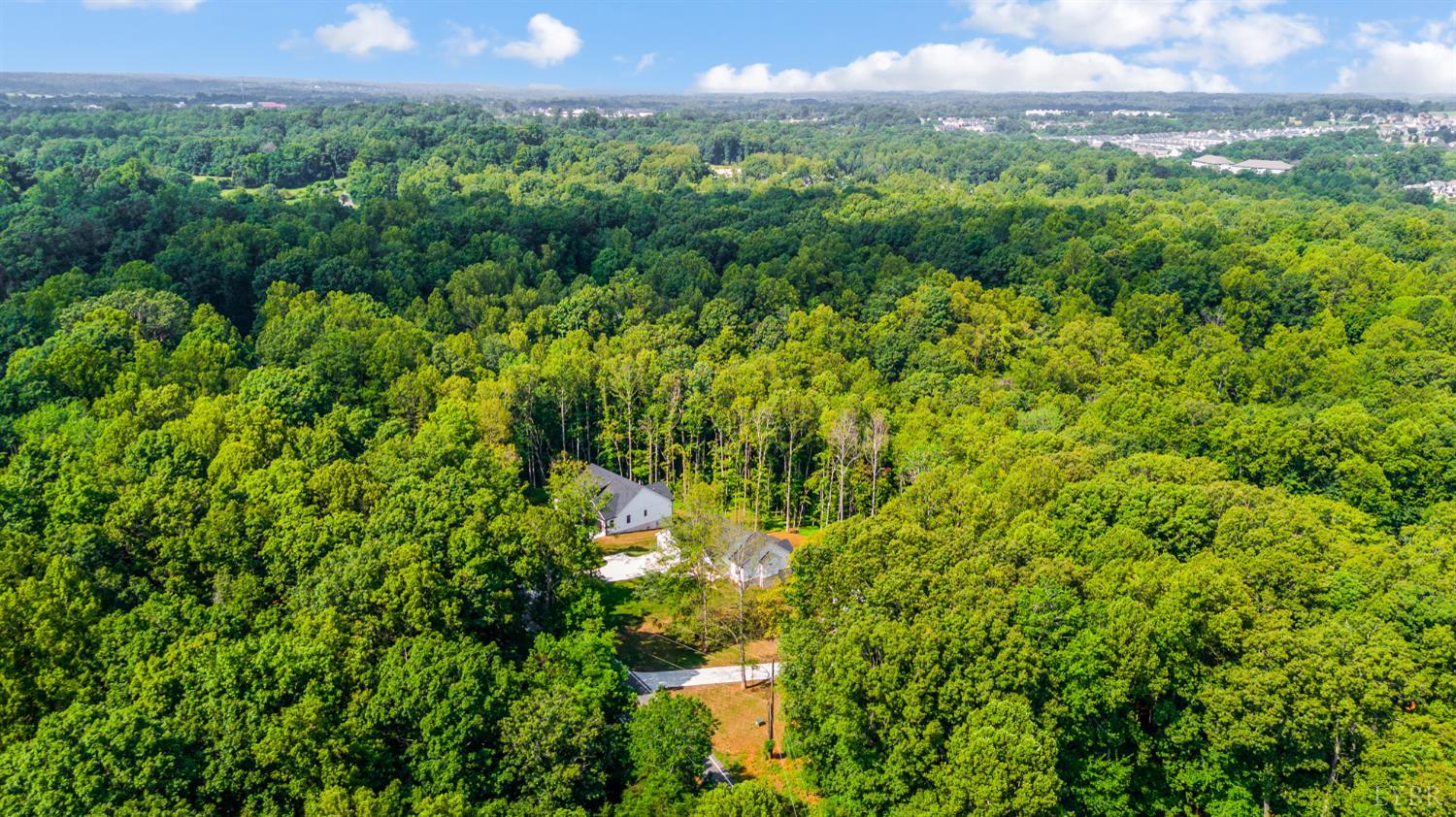 2262 Hooper Road Forest, VA 24551 - Photo 15 of 80