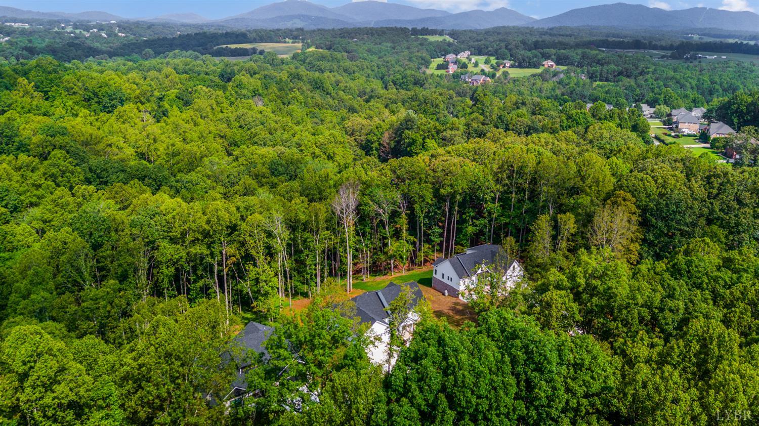 2262 Hooper Road Forest, VA 24551 - Photo 16 of 80 a view of a lush green forest with a mountain