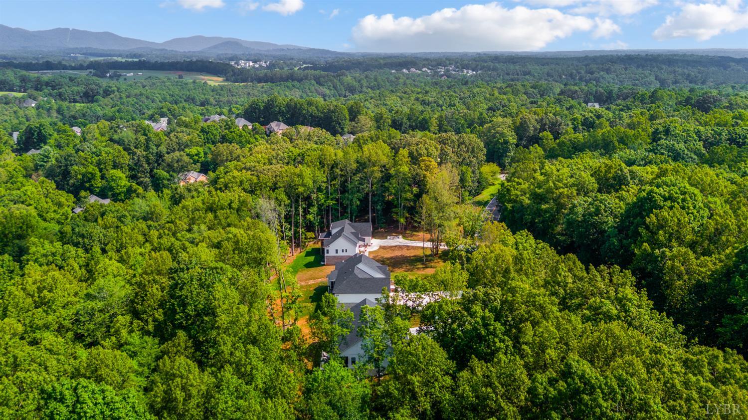 2262 Hooper Road Forest, VA 24551 - Photo 18 of 80