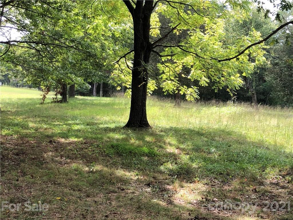 1805 Dark Corner Road Rutherfordton, NC 28139 - Photo 22 of 40 a view of yard with green space