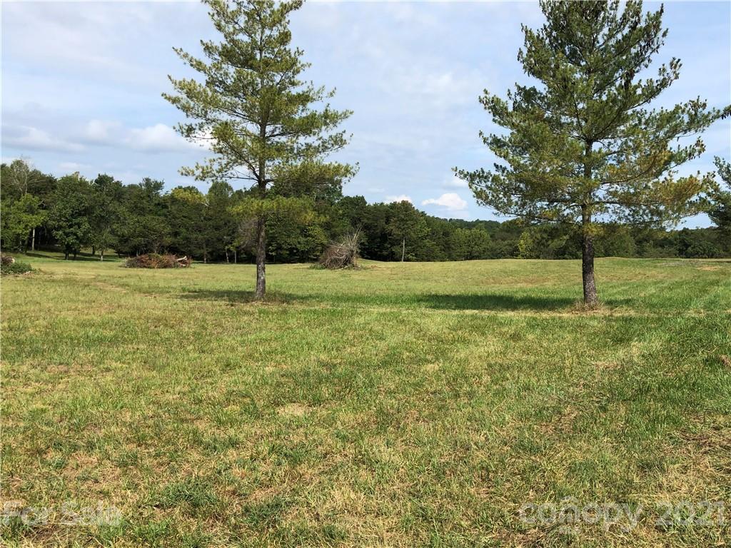 1805 Dark Corner Road Rutherfordton, NC 28139 - Photo 4 of 40 a view of outdoor space with trees all around