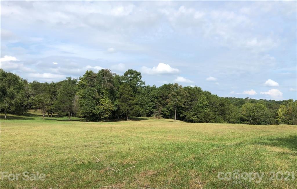 1805 Dark Corner Road Rutherfordton, NC 28139 - Photo 5 of 40 a view of outdoor space and yard