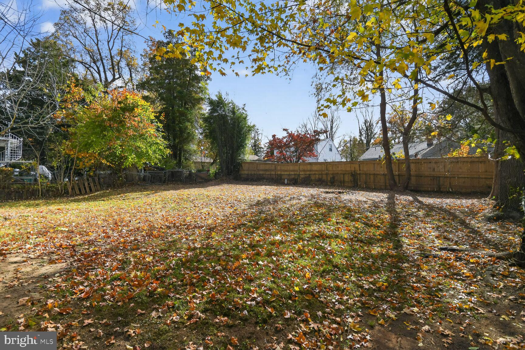 2814 Munson Street Silver Spring, MD 20902 - Photo 8 of 21 a view of backyard with green space