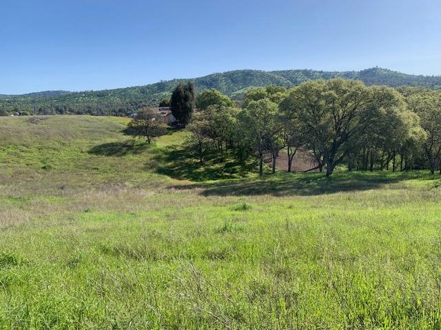 1606 Choctaw Road Copperopolis, CA 95228 - Photo 1 of 1 Gallery Image 1