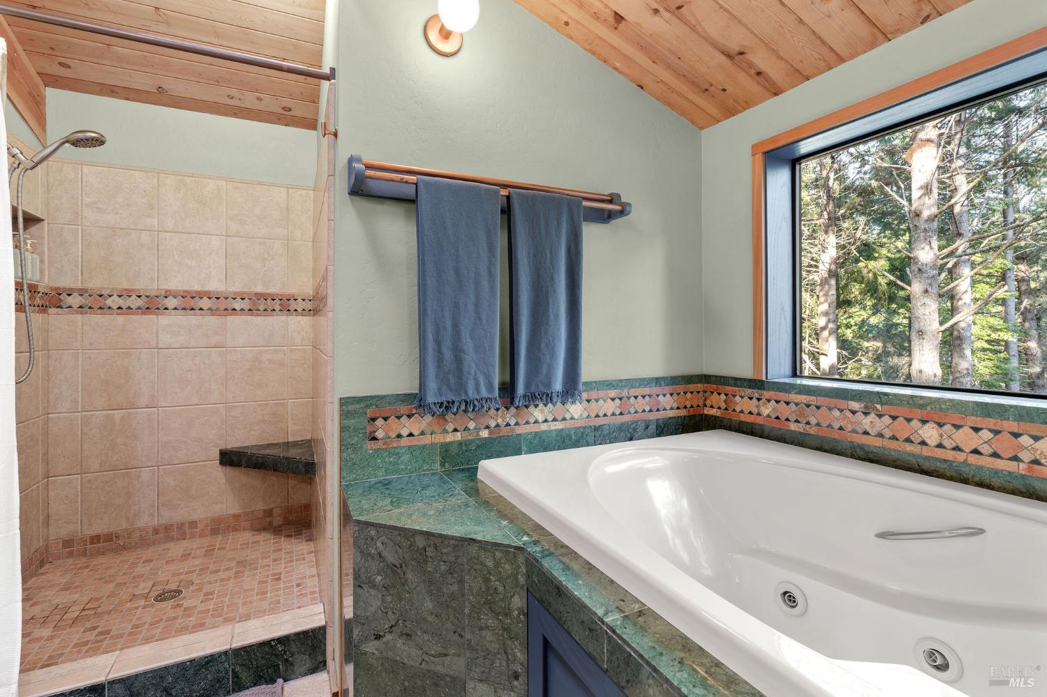880 River Beach Road The Sea Ranch, CA 95497 - Photo 33 of 56