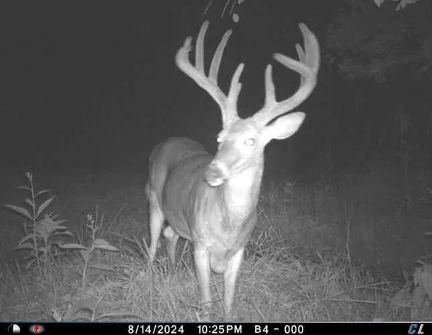 $1,975,000 | 7803 Northeast 160th Terrace, Smithville, MO 64089