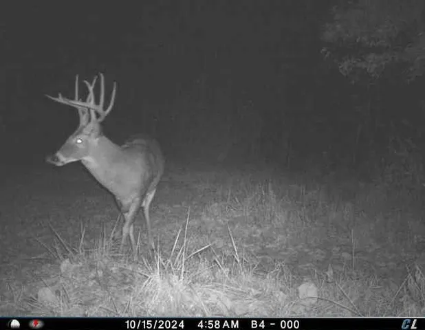 $1,975,000 | 7803 Northeast 160th Terrace, Smithville, MO 64089