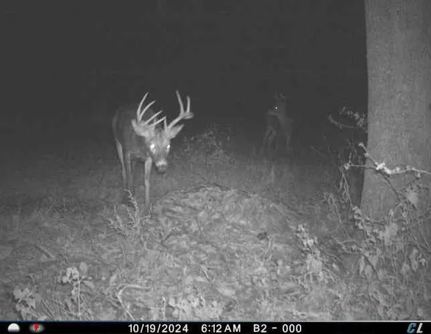 $1,975,000 | 7803 Northeast 160th Terrace, Smithville, MO 64089