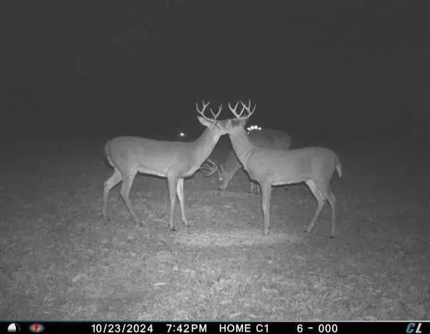 $1,975,000 | 7803 Northeast 160th Terrace, Smithville, MO 64089