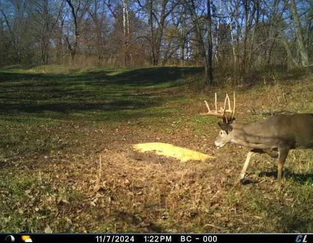 $1,975,000 | 7803 Northeast 160th Terrace, Smithville, MO 64089