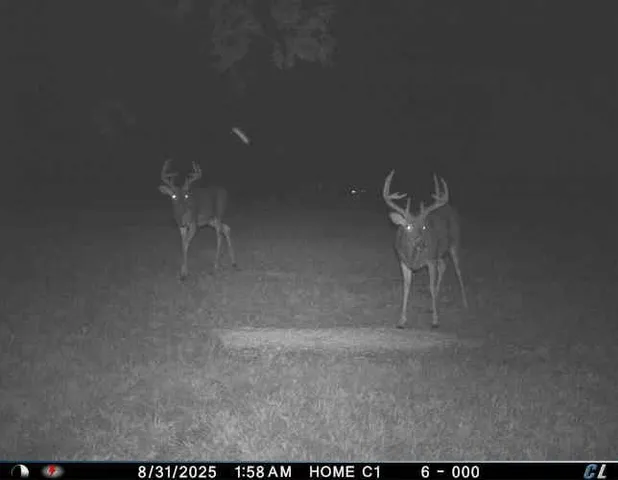 $1,975,000 | 7803 Northeast 160th Terrace, Smithville, MO 64089