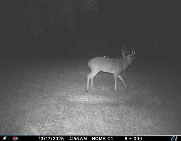 $1,975,000 | 7803 Northeast 160th Terrace, Smithville, MO 64089