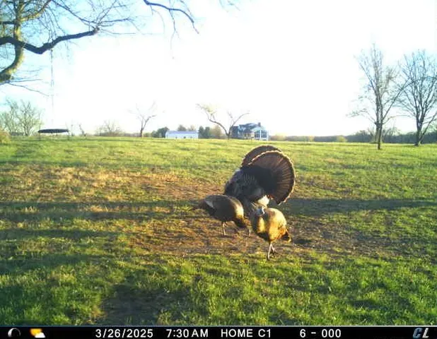 $1,975,000 | 7803 Northeast 160th Terrace, Smithville, MO 64089