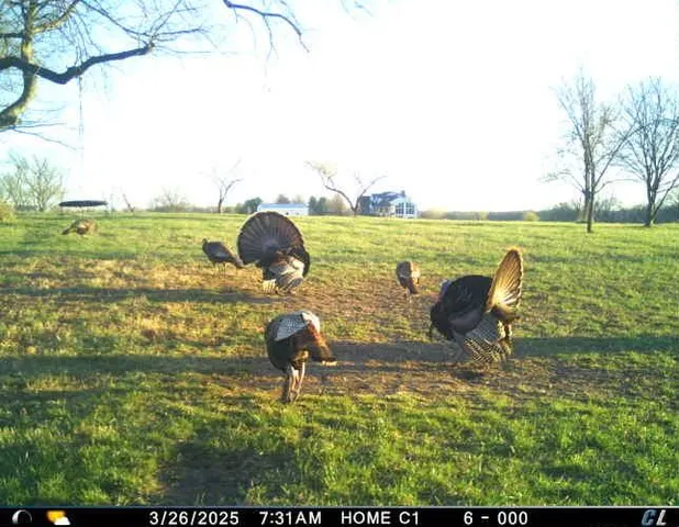 $1,975,000 | 7803 Northeast 160th Terrace, Smithville, MO 64089