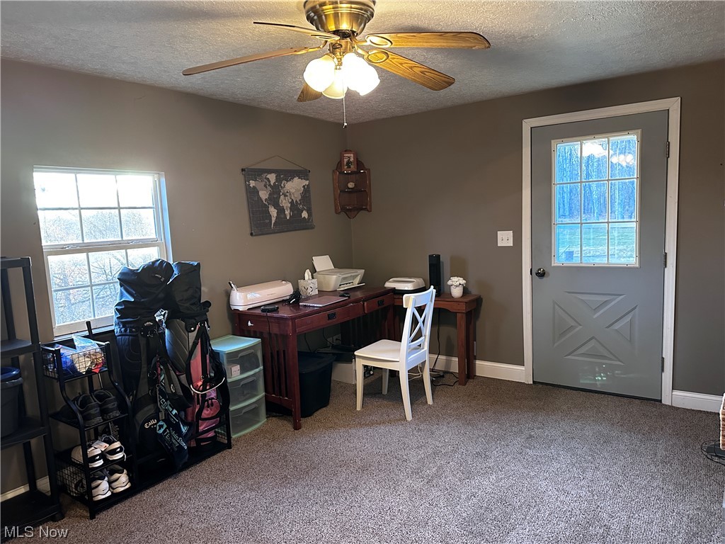 50748 Shenandoah Road Caldwell, OH 43724 - Photo 2 of 43 Carpeted home office with a wealth of natural light, ceiling fan, and a textured ceiling