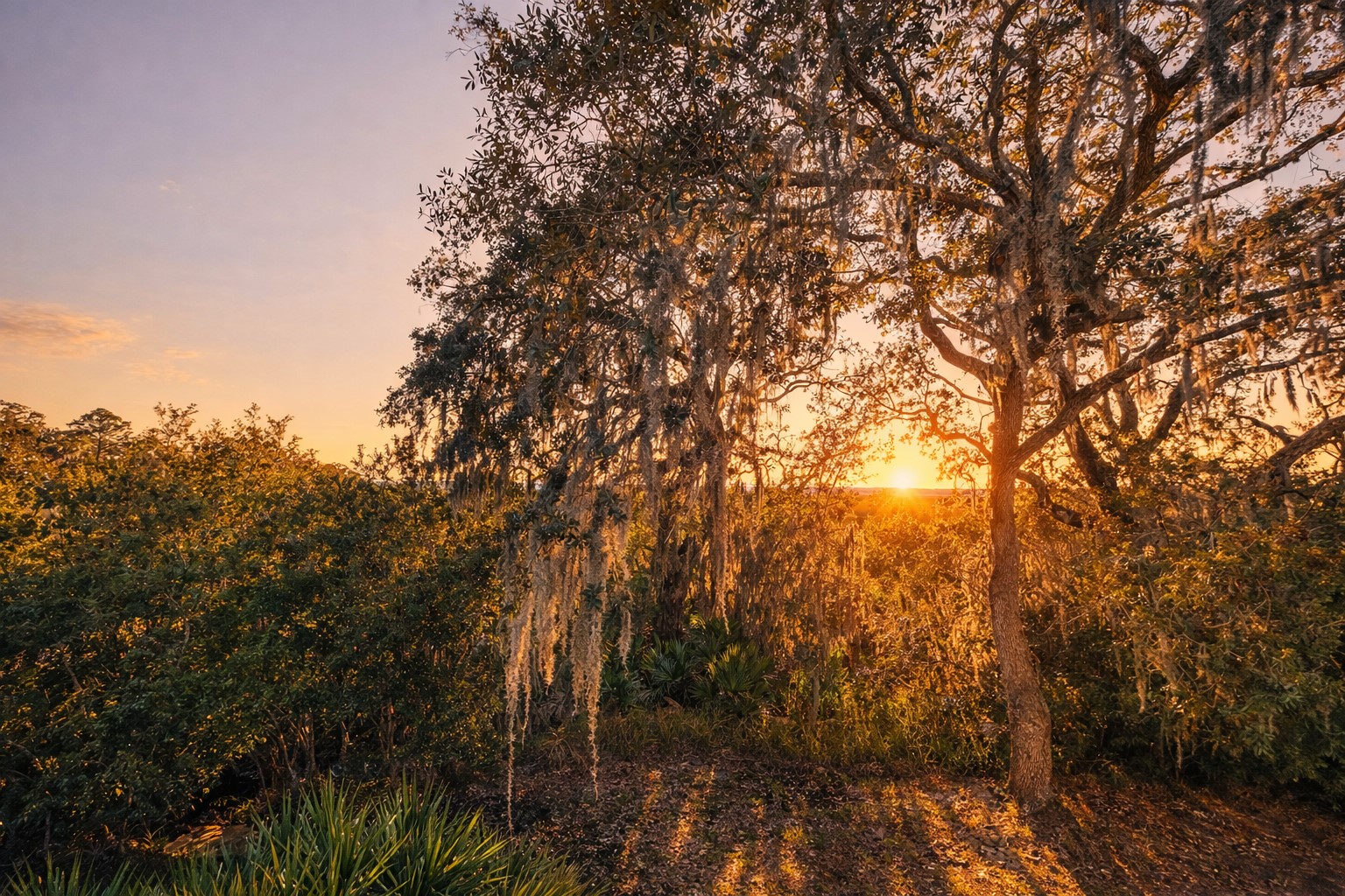 123 West Hirth Road, Unit 1807 Fernandina Beach, FL 32034 - Photo 12 of 20