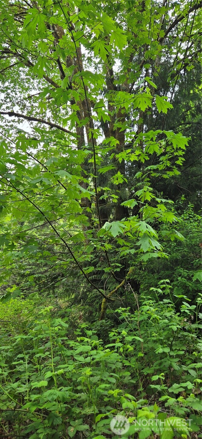 0 Port Gamble Road Northeast Poulsbo, WA 98370 - Photo 15 of 15