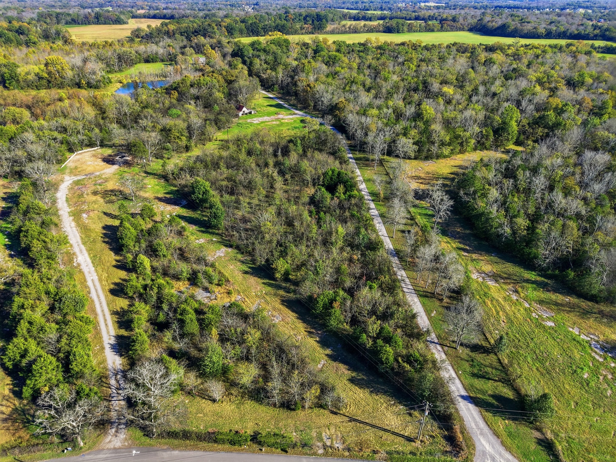 8919 Carlton Road Christiana, TN 37037 - Photo 4 of 12 a view of a garden